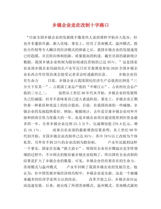 乡镇企业走在改制十字路口 