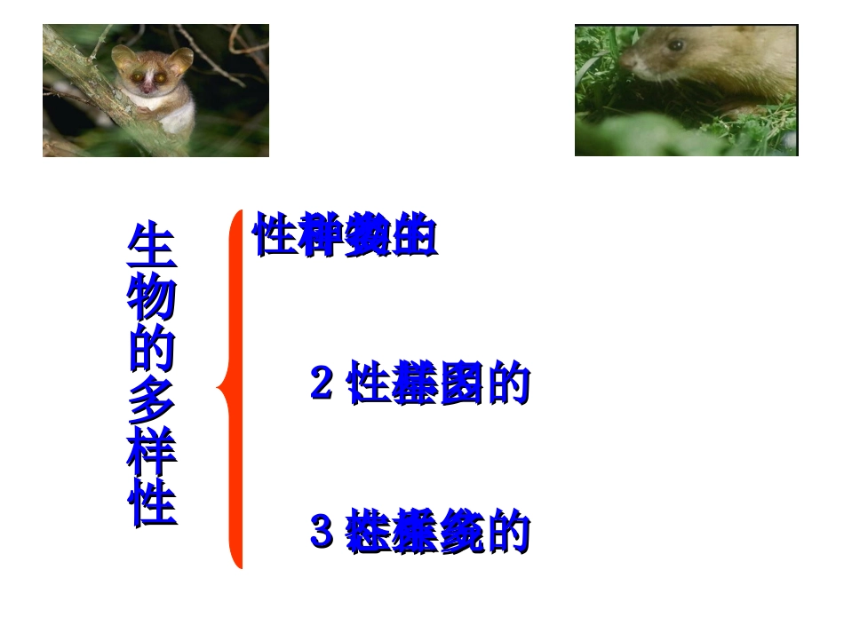 认识生物的多样性_第2页