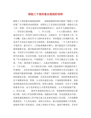 树组工干部形象自我剖析材料 