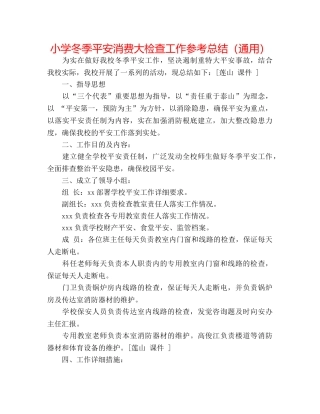 小学冬季安全生产大检查工作参考总结（通用） 
