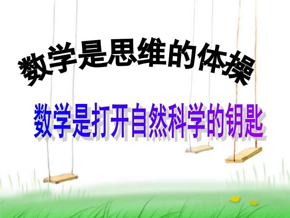 21整式（1）_第1页