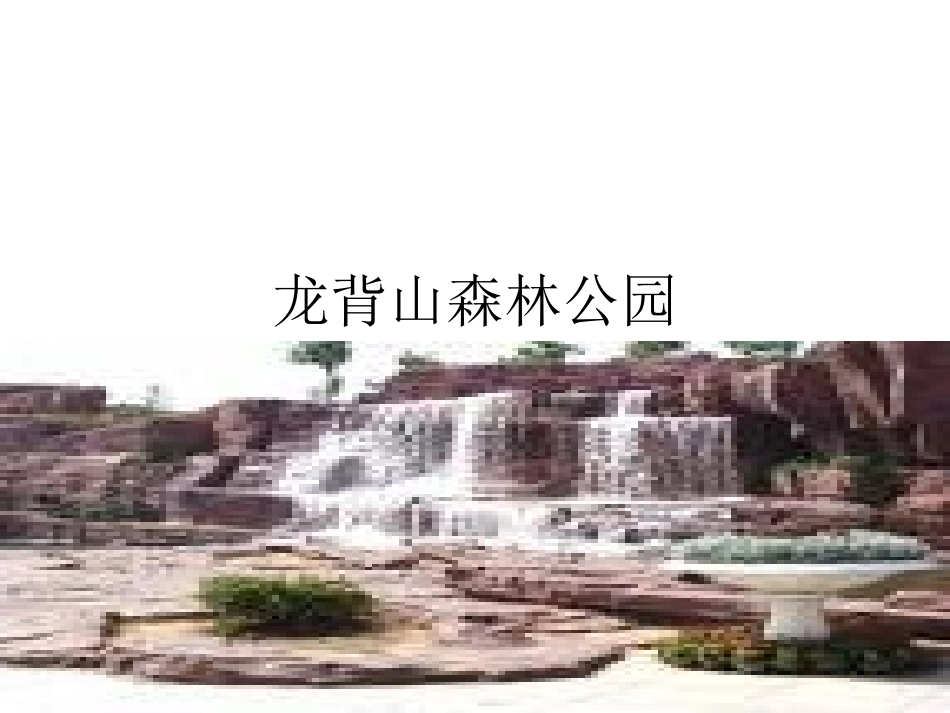 龙背山森林公园_第1页