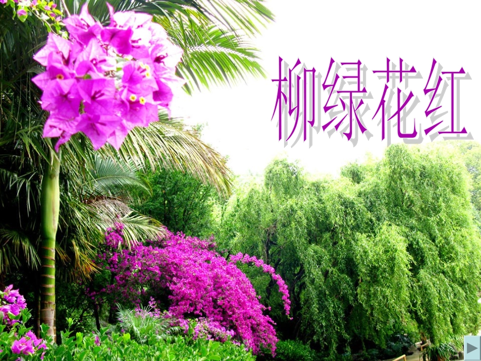 2春雨的色彩_第3页