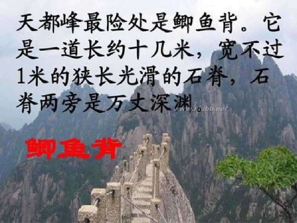 3爬天都峰1_第3页