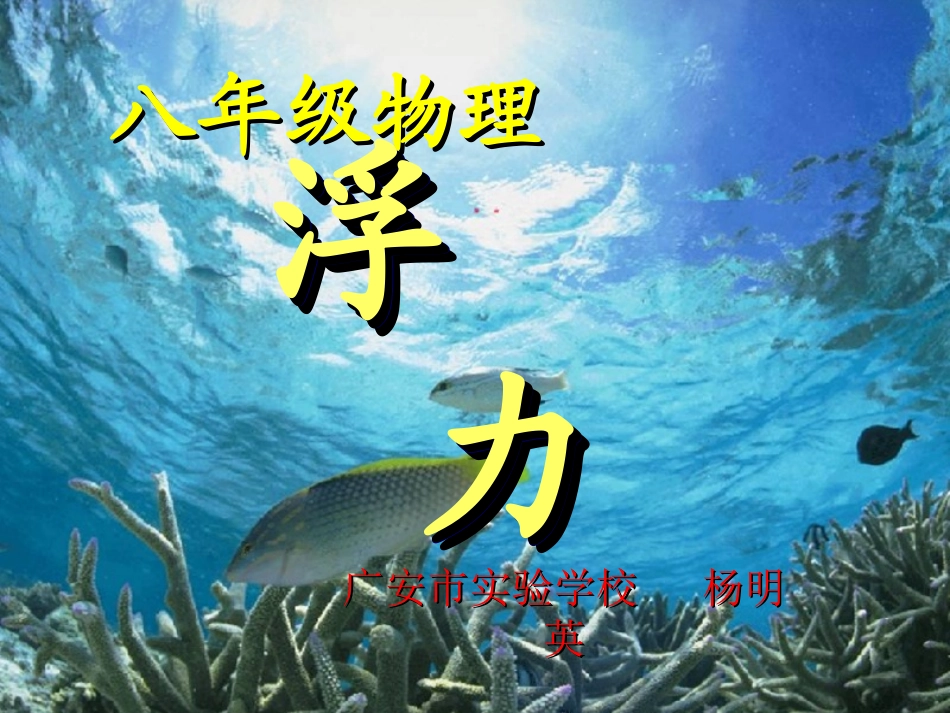 物理浮力课件_第2页