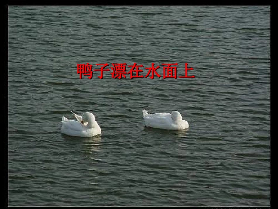 物理浮力课件_第3页