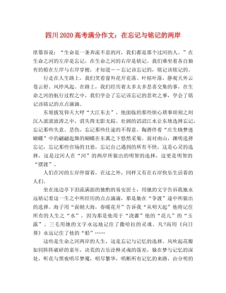 四川2024高考满分作文在忘记与铭记的两岸 