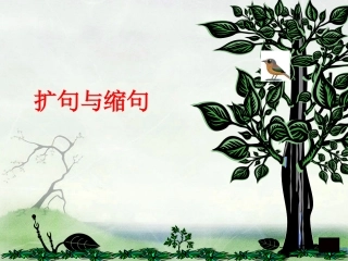 缩句、扩句复习课件及教案