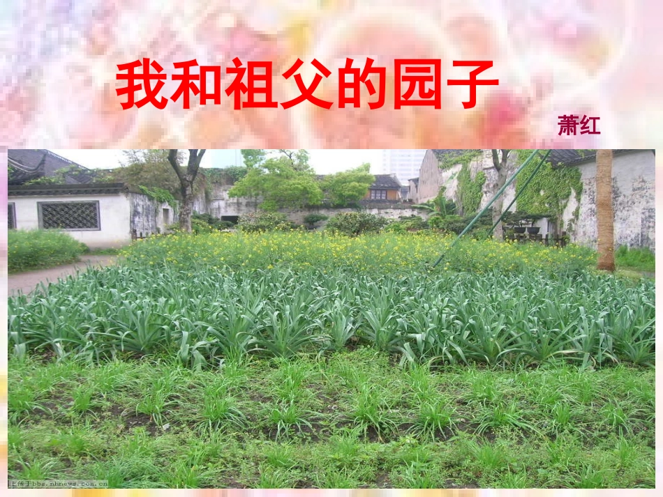 19《我和祖父的园子》[1]_第1页
