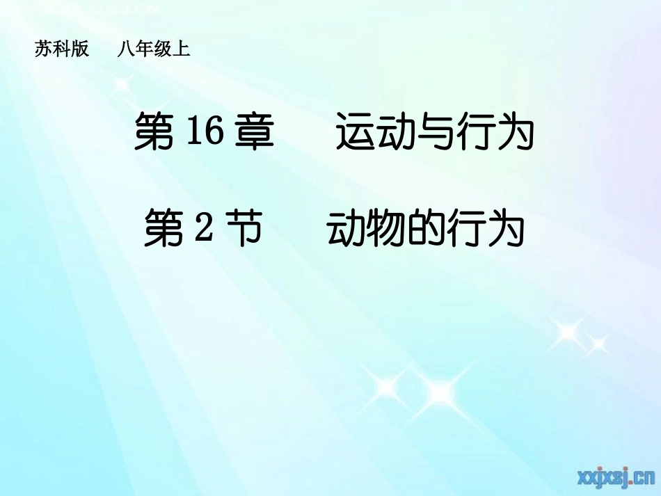 动物行为课件5_第1页