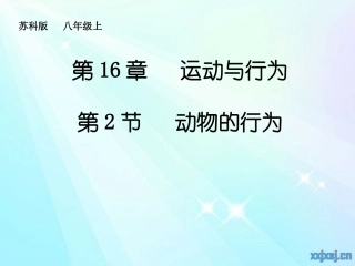 动物行为课件5