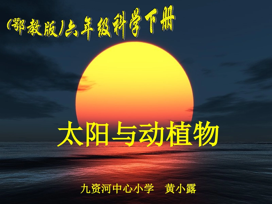 黄太阳与动植物_第1页