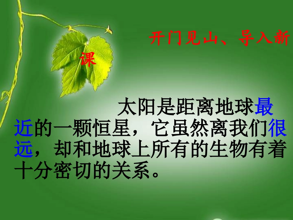 黄太阳与动植物_第2页