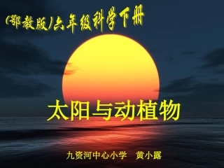 黄太阳与动植物