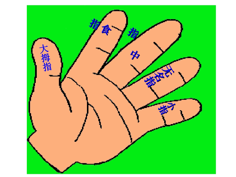 5手指(好)_第2页