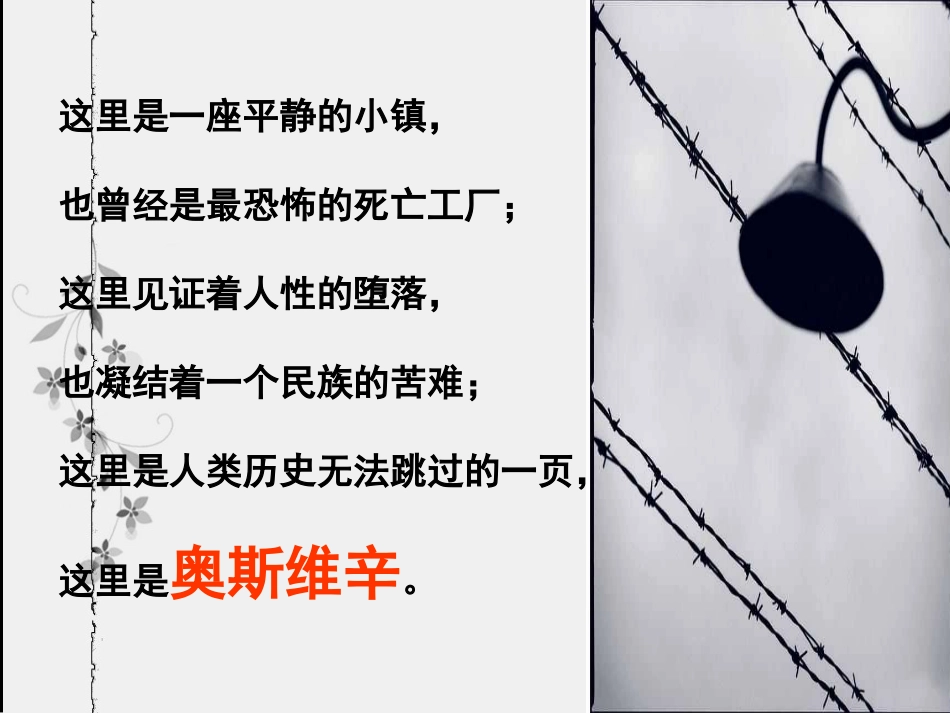 奥斯维辛没有什么新闻_第1页
