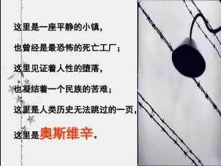 奥斯维辛没有什么新闻