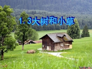 3大树和小草
