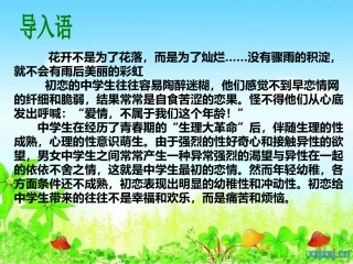 中学生恋爱主题班会初稿