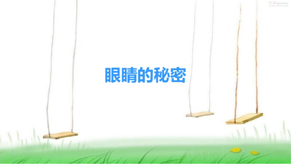 眼睛的秘密 (2)_第1页