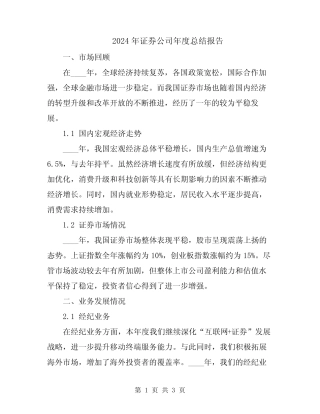 2024年证券公司年度总结报告