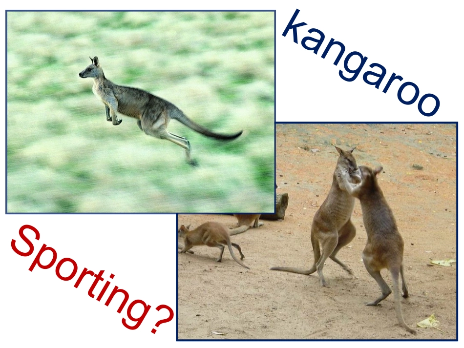 刘春侠教研课_第2页