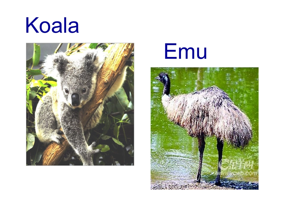 刘春侠教研课_第3页