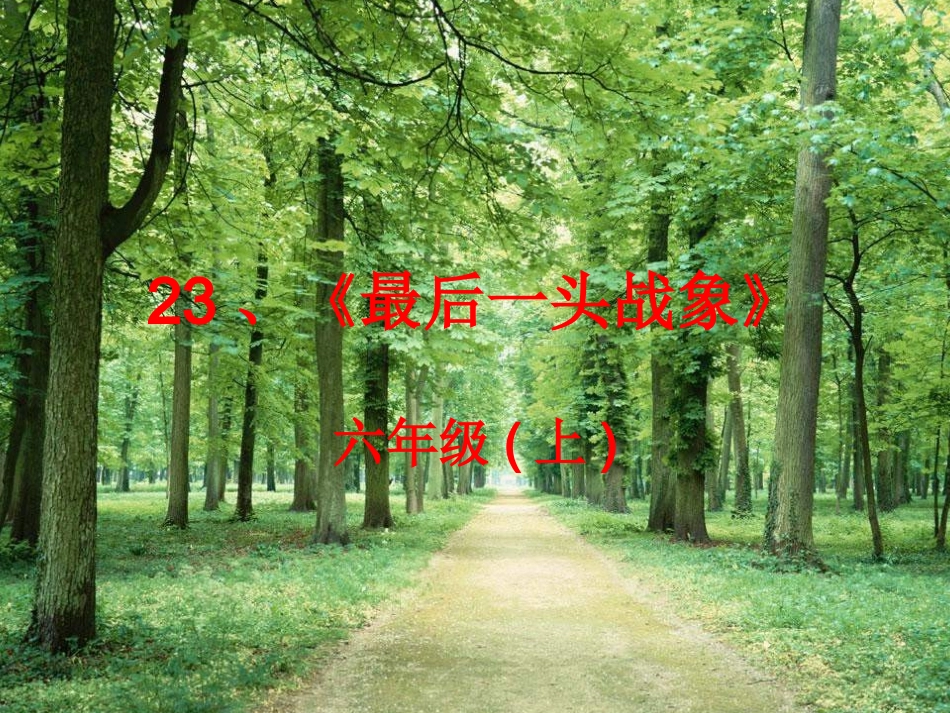 六上第23课《最后一头战象》 (2)_第1页