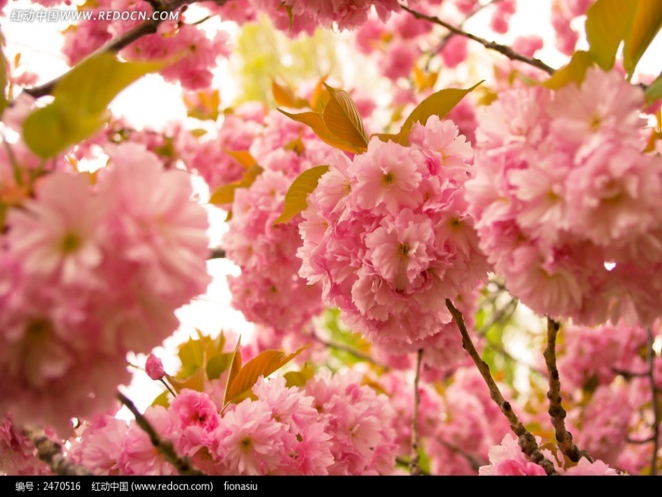 日本自然地理_第3页