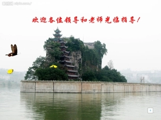 理解诚信zheng