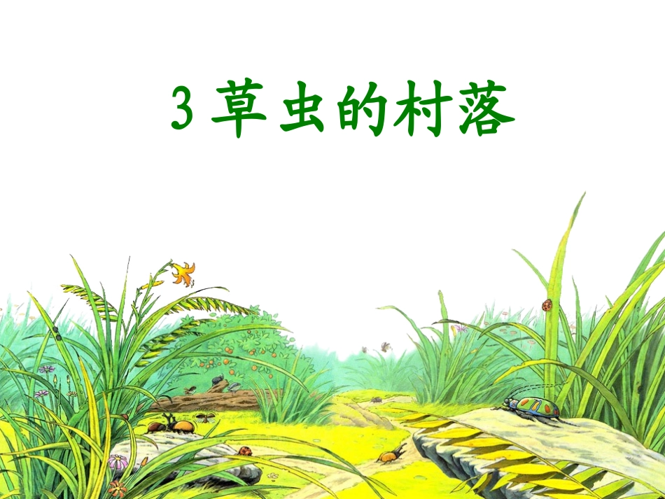 3《草虫的村落》课件(1)_第1页