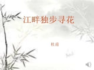 江畔独步寻花