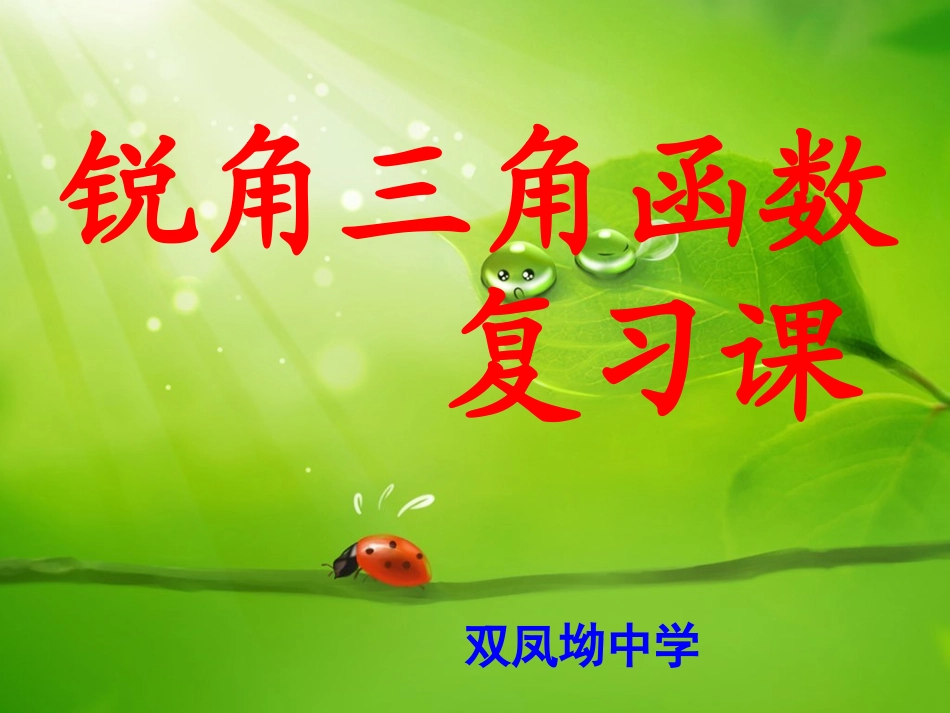 锐角三角函数复习_第2页