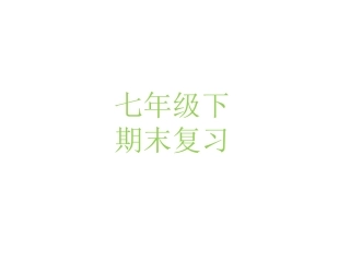 七年级下总复习