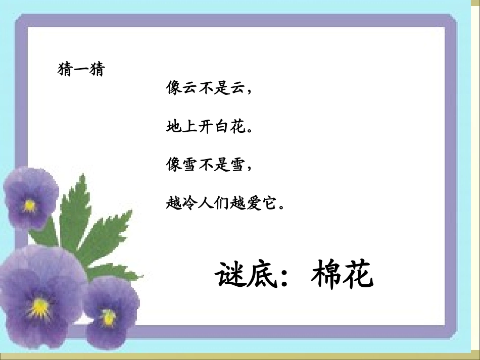 棉花姑娘》课件_第2页