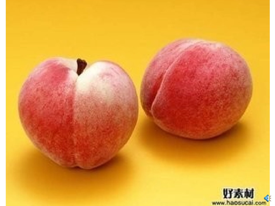 语言活动小桃仁_第3页