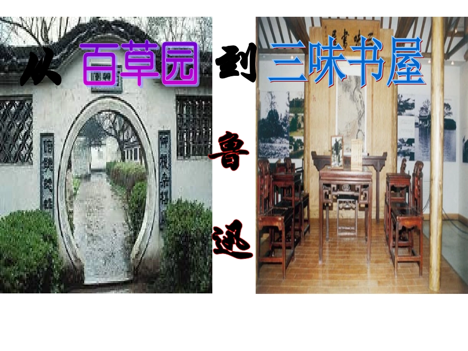 9从百草园到三味书屋 (2)_第1页