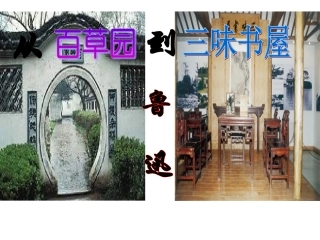 9从百草园到三味书屋 (2)