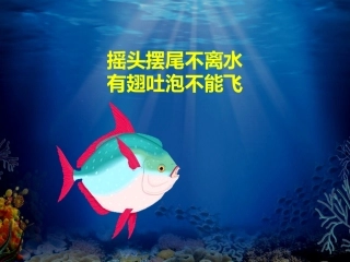 谁画的鱼最大 (5)