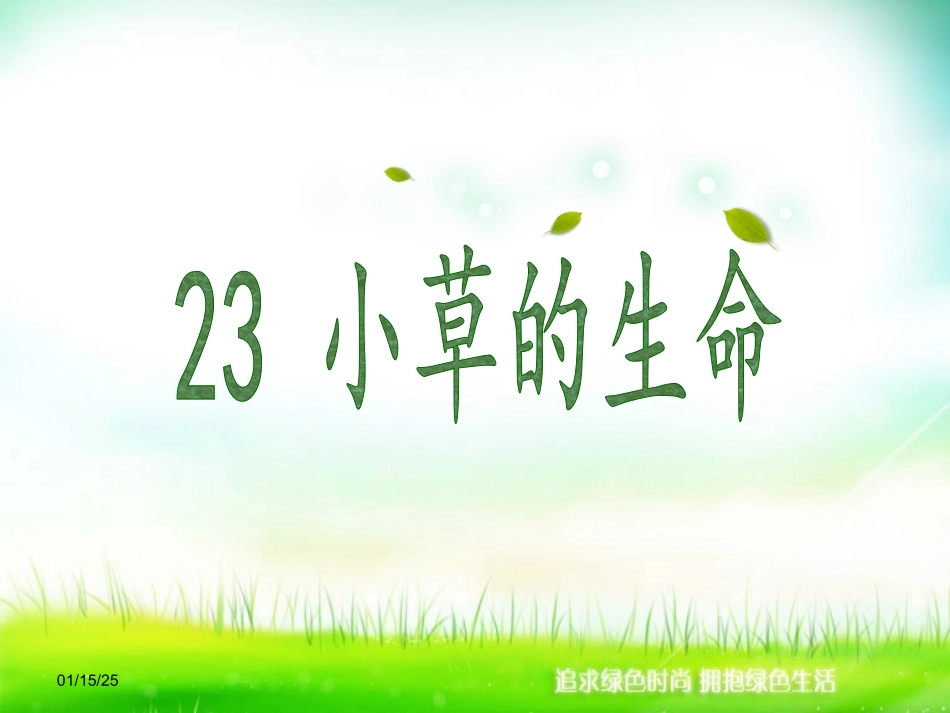 小草的生命2_第1页