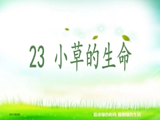 小草的生命2