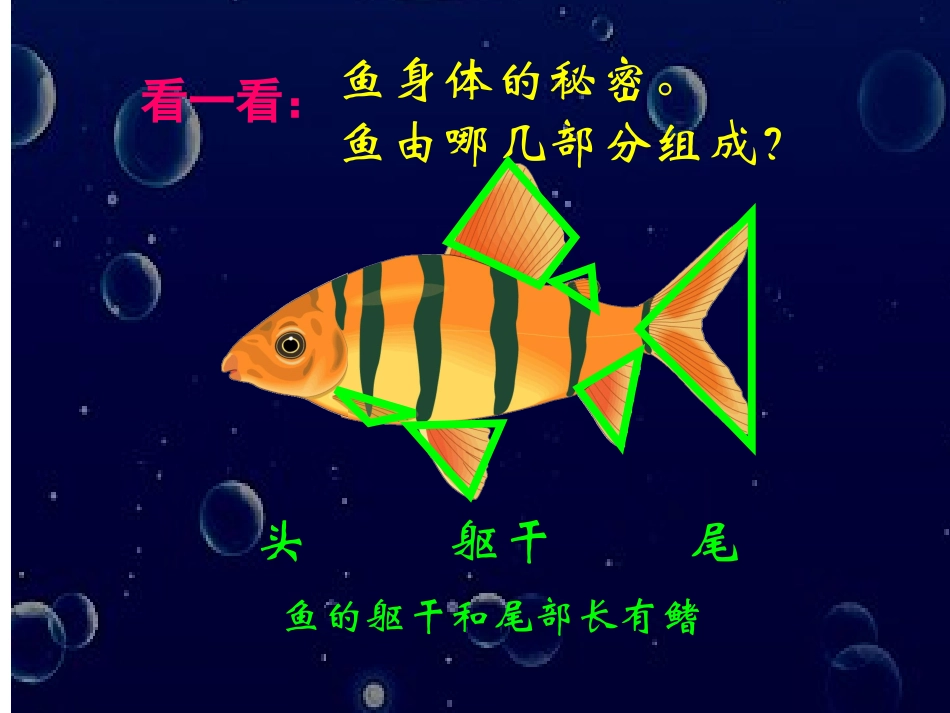 谁画的鱼最大(2)_第2页