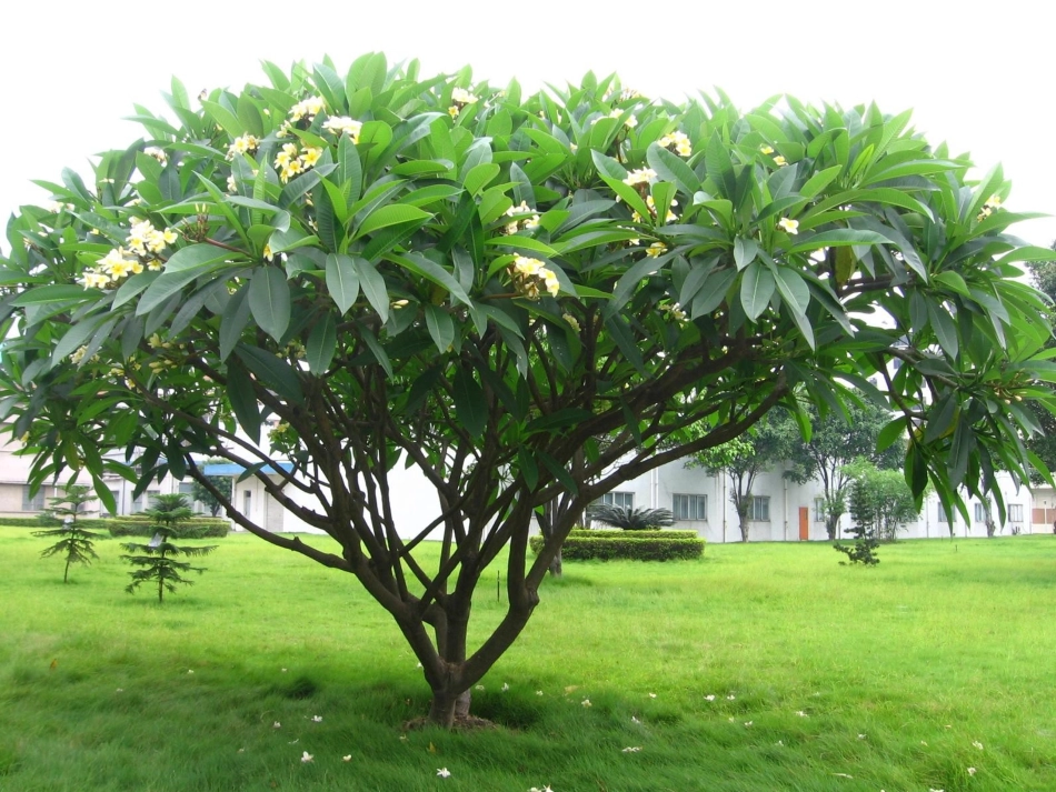 如何充实文章_第2页