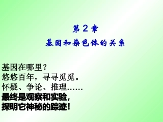 21减数分裂和受精作用