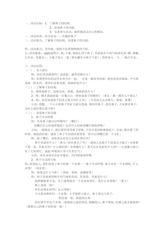 有趣的鼻子教案