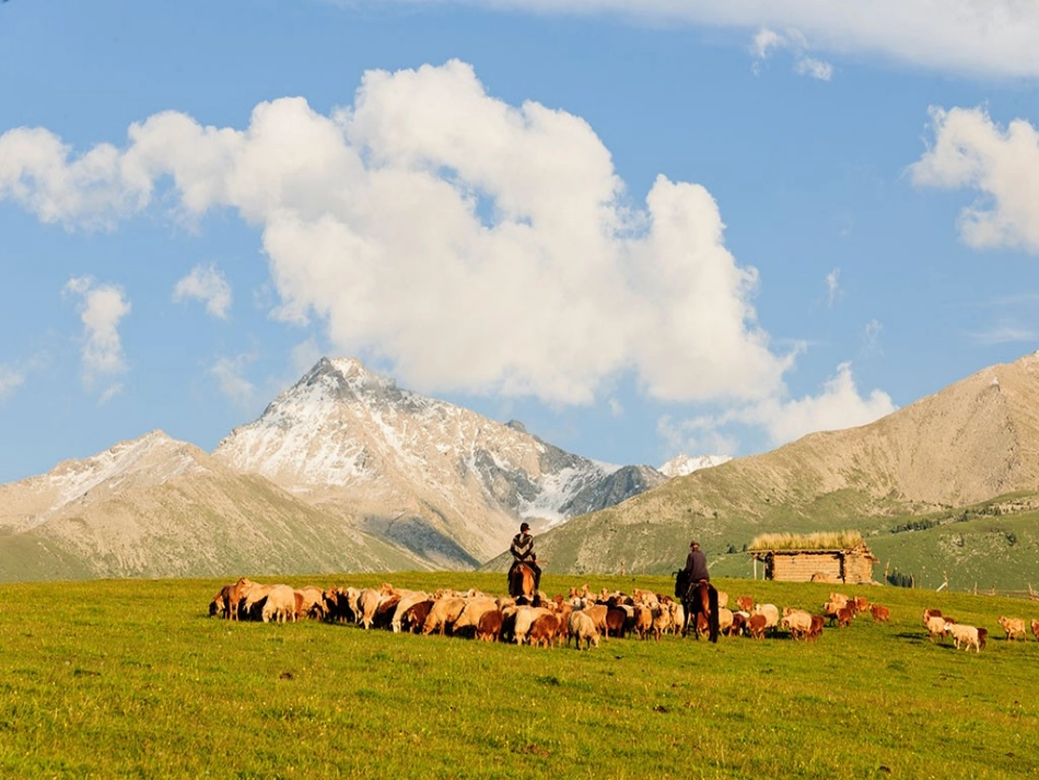 牧场之国课件_第2页