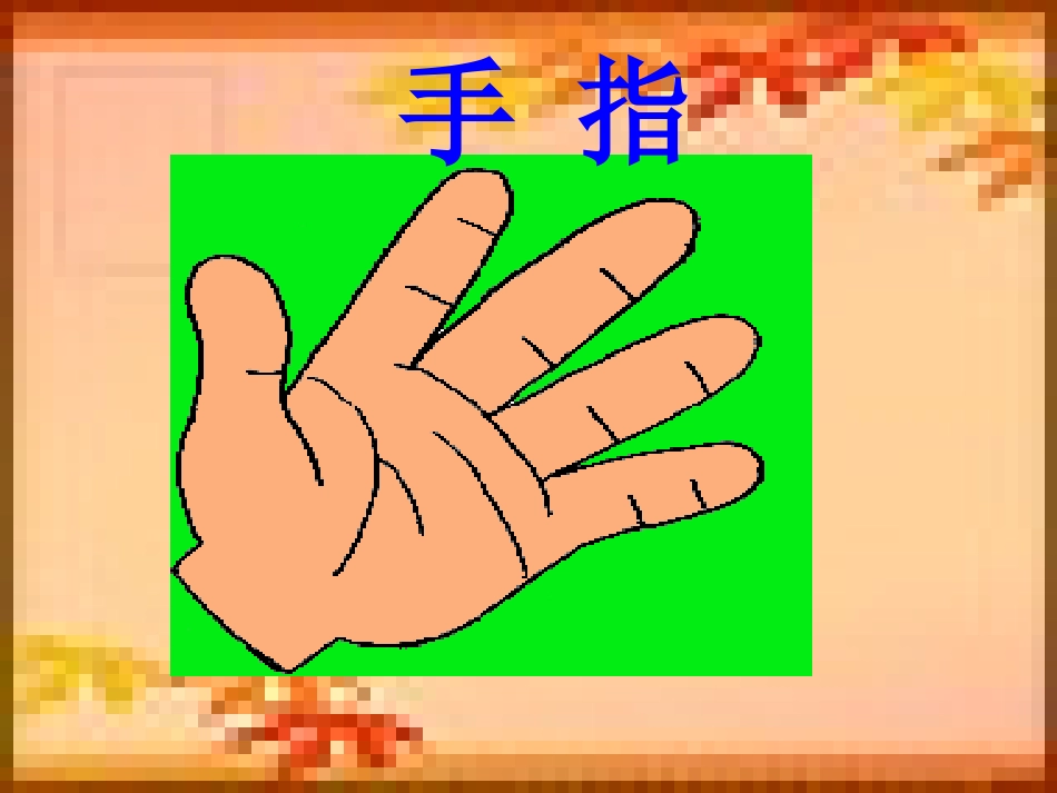 《手指》课件1_第1页