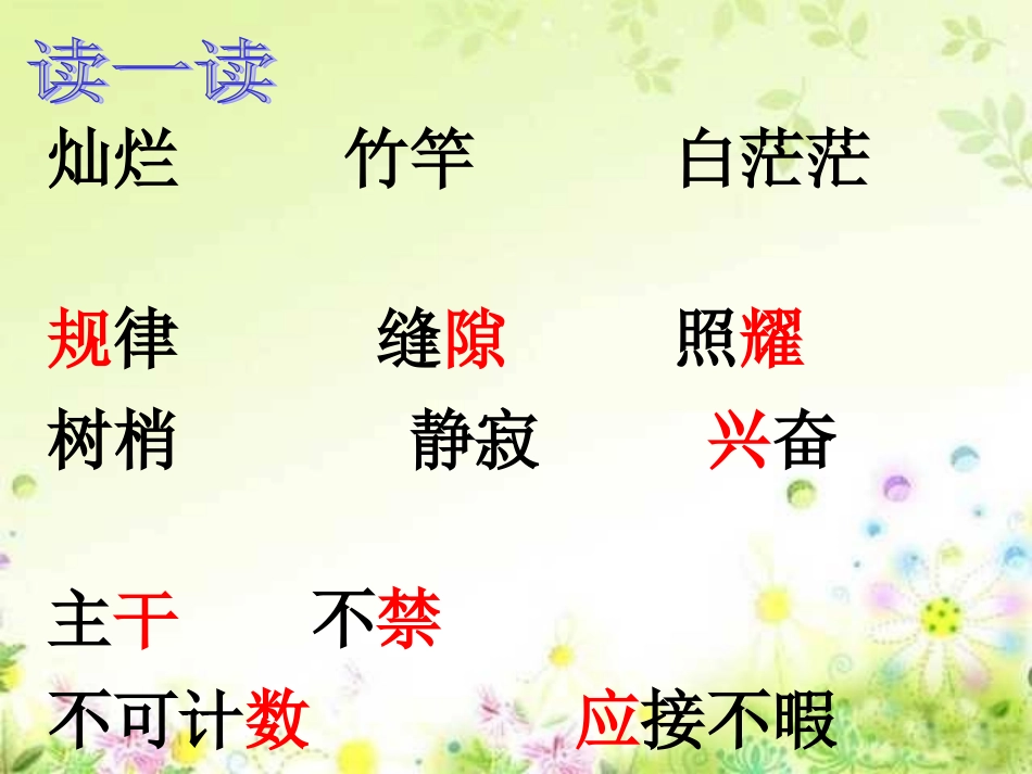 鸟的天堂_PPT课件 (2)_第3页