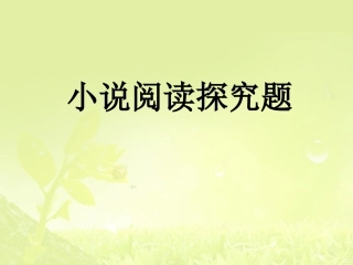 2013高考小说阅读探究题(实用)