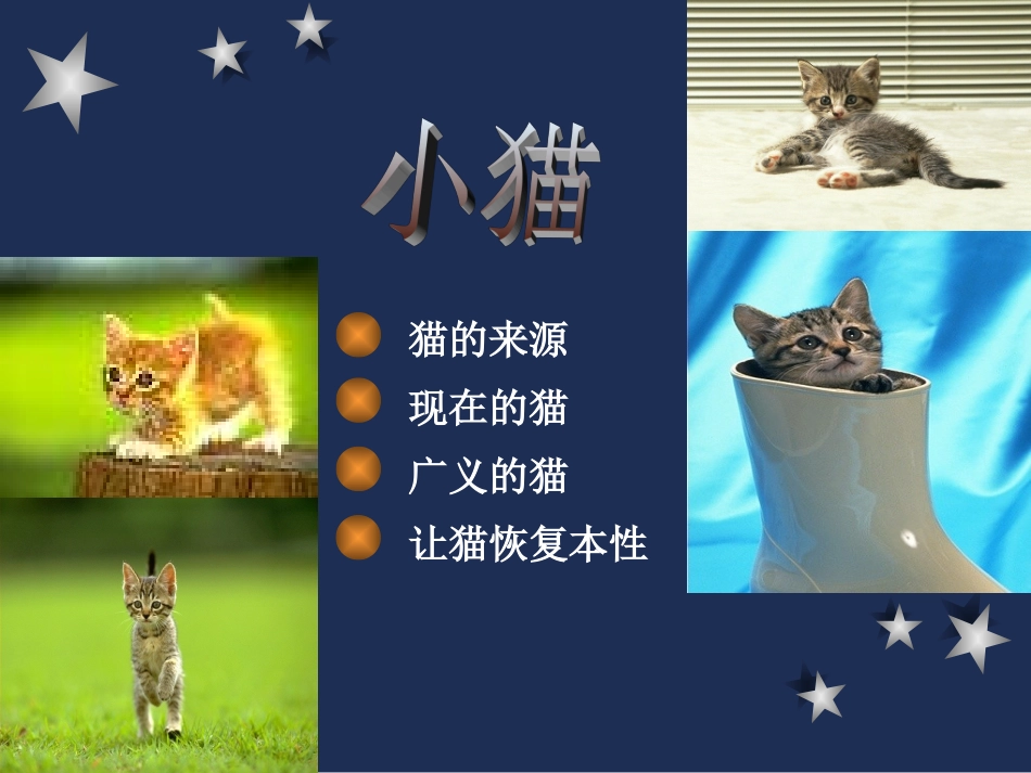 优秀作品－猫_第1页